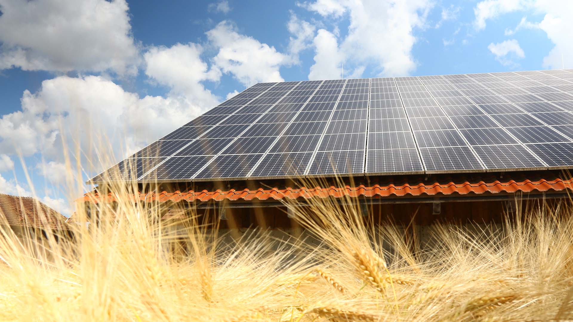 fotowoltaika dla rolnika agrosolar